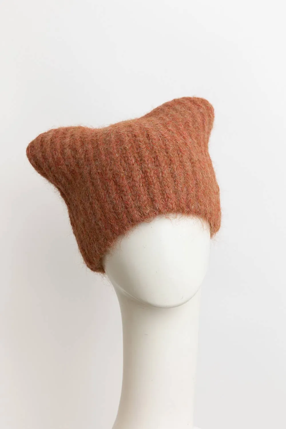 Cozy Cat  Beanie