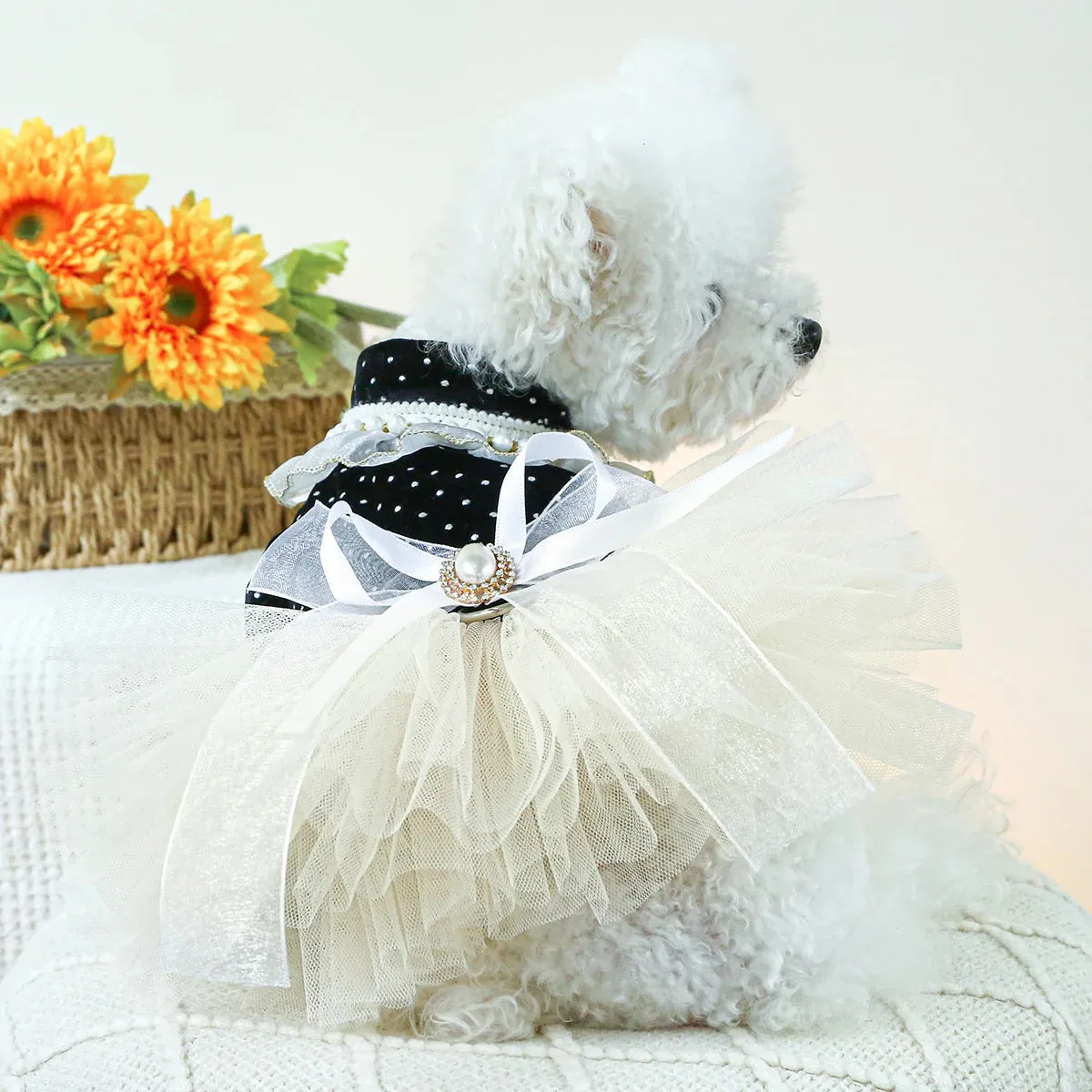 Elegance in Black Velvet: Dotted Princess Wedding Dress - Autumn and Winter Pet Fashion with Drawstring Buckle for Small to Medium Dogs