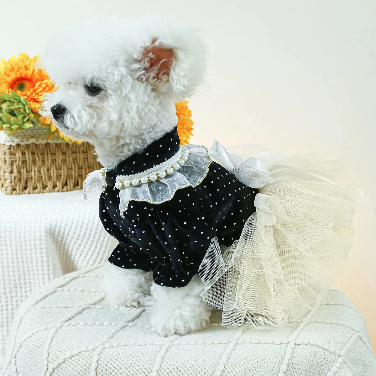 Elegance in Black Velvet: Dotted Princess Wedding Dress - Autumn and Winter Pet Fashion with Drawstring Buckle for Small to Medium Dogs