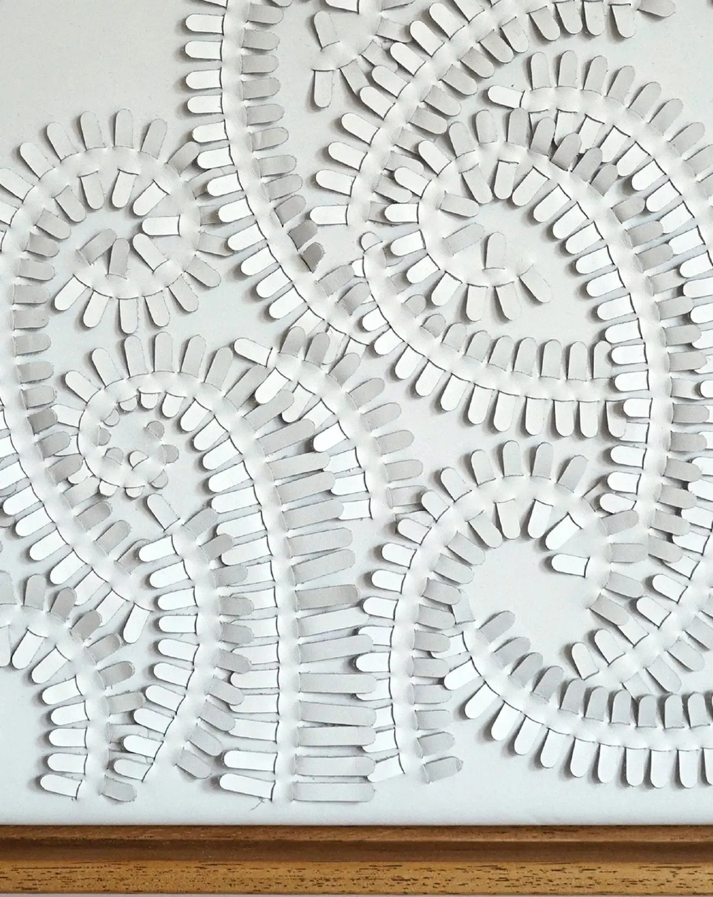 White Fern Wall Art