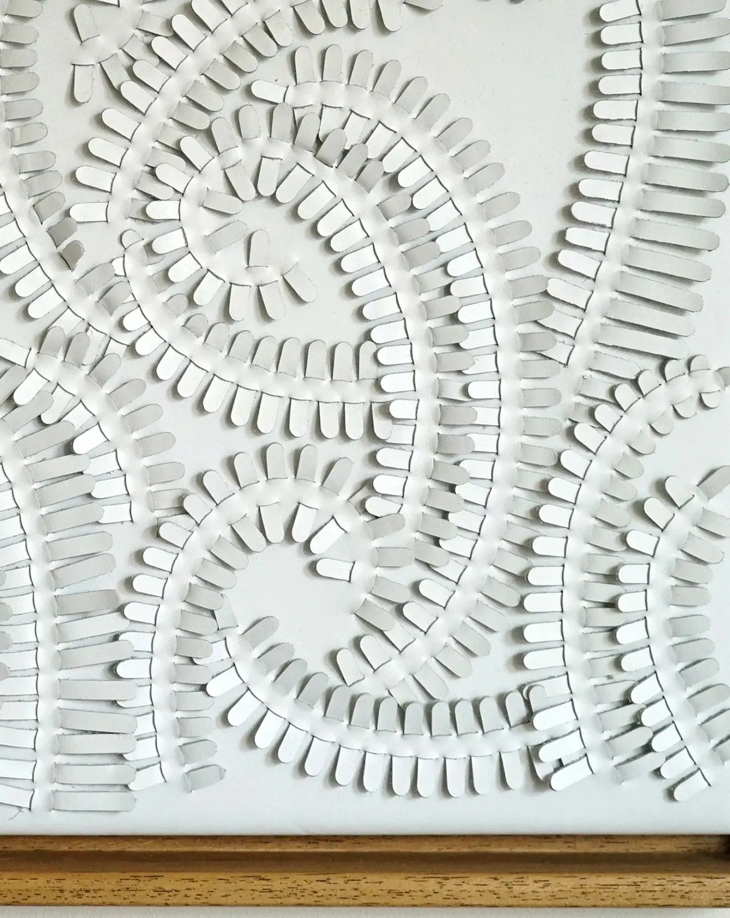 White Fern Wall Art